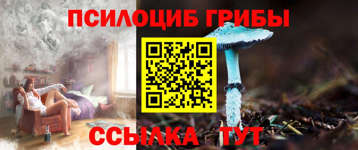Галлюциногенные грибы прущие грибы  Вход с VPN  Ступино 